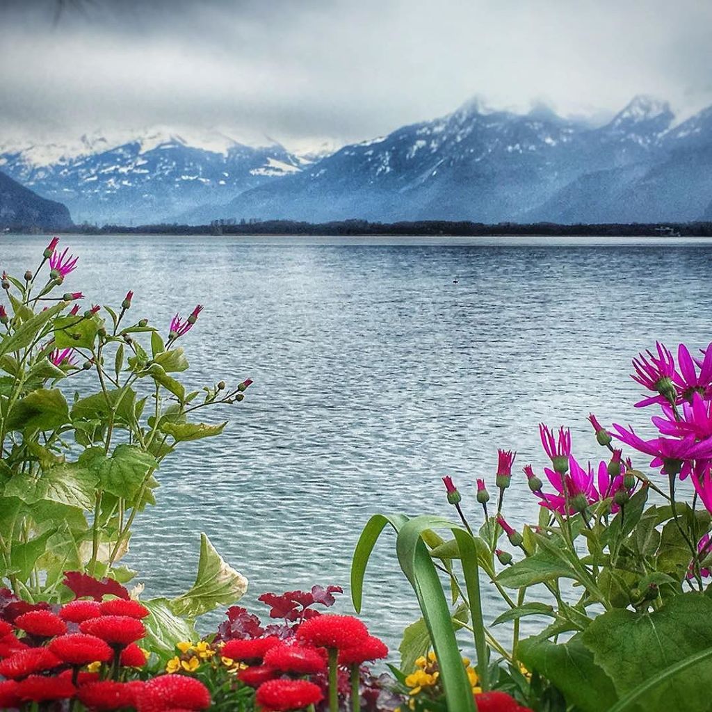 Mar 28, 2016 @ 16:05