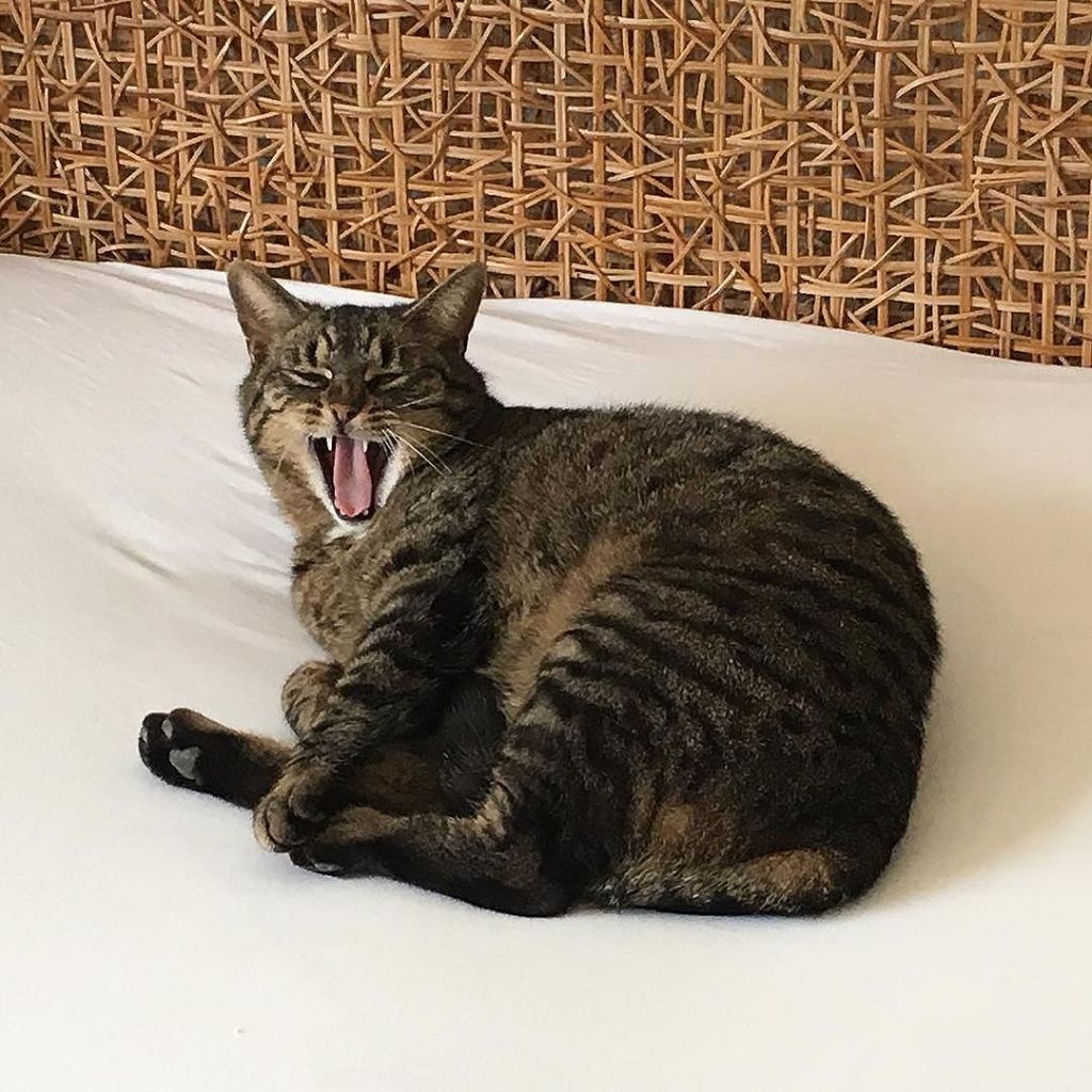 Apr 12, 2016 @ 17:41