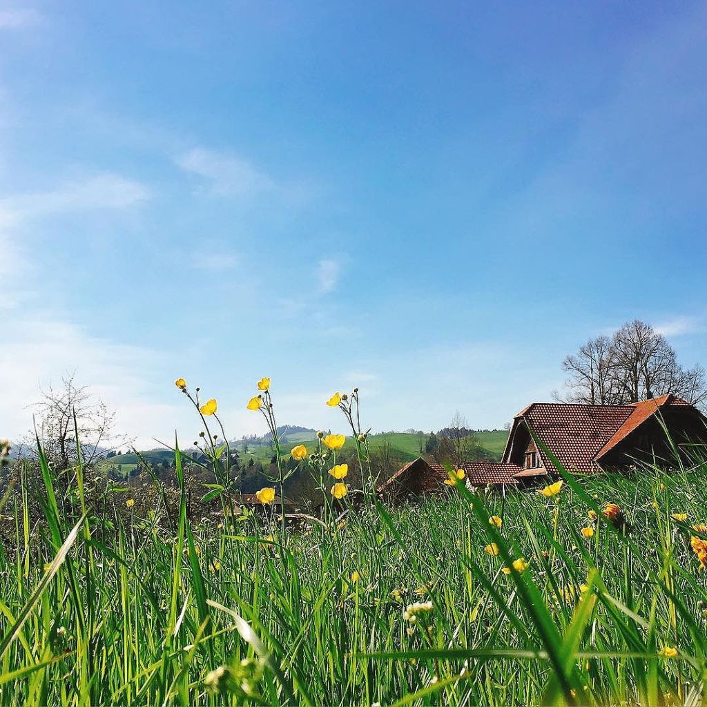 Apr 20, 2016 @ 16:44