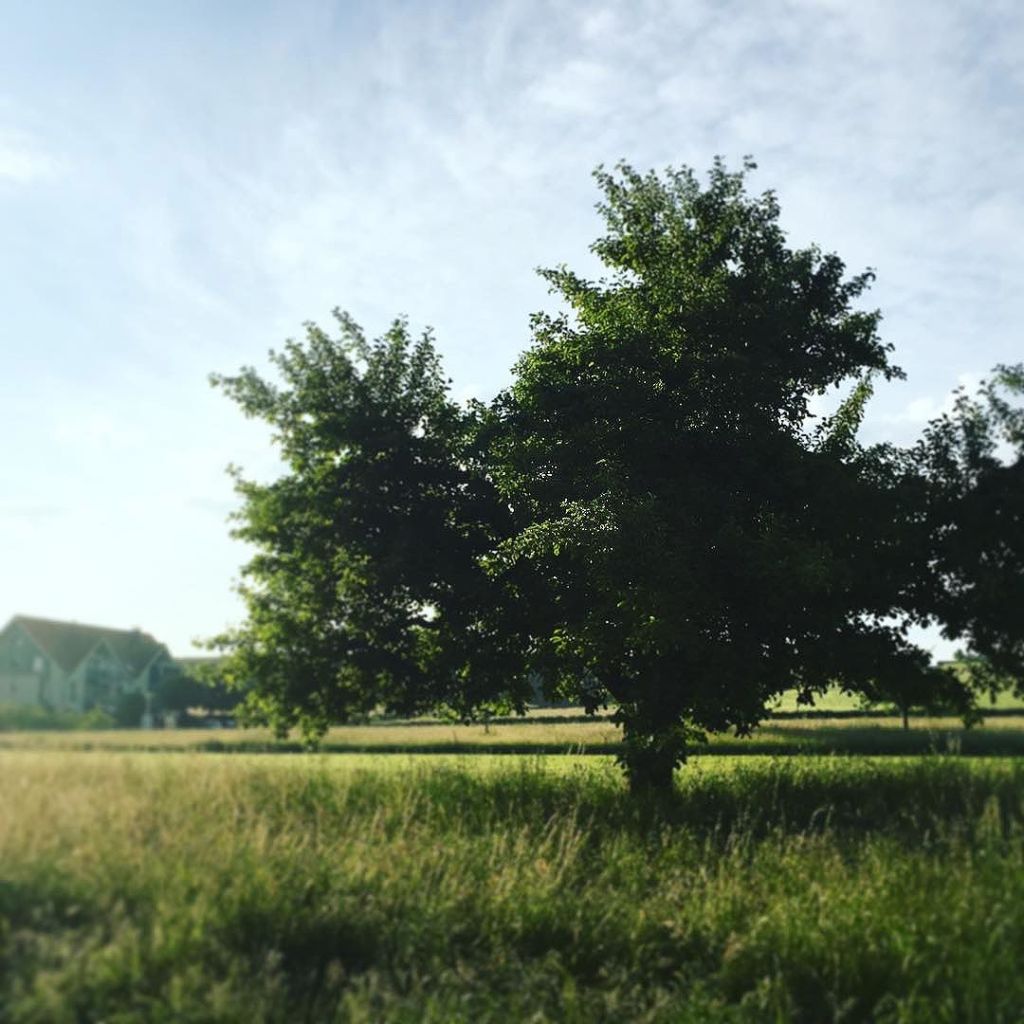 May 26, 2016 @ 08:14