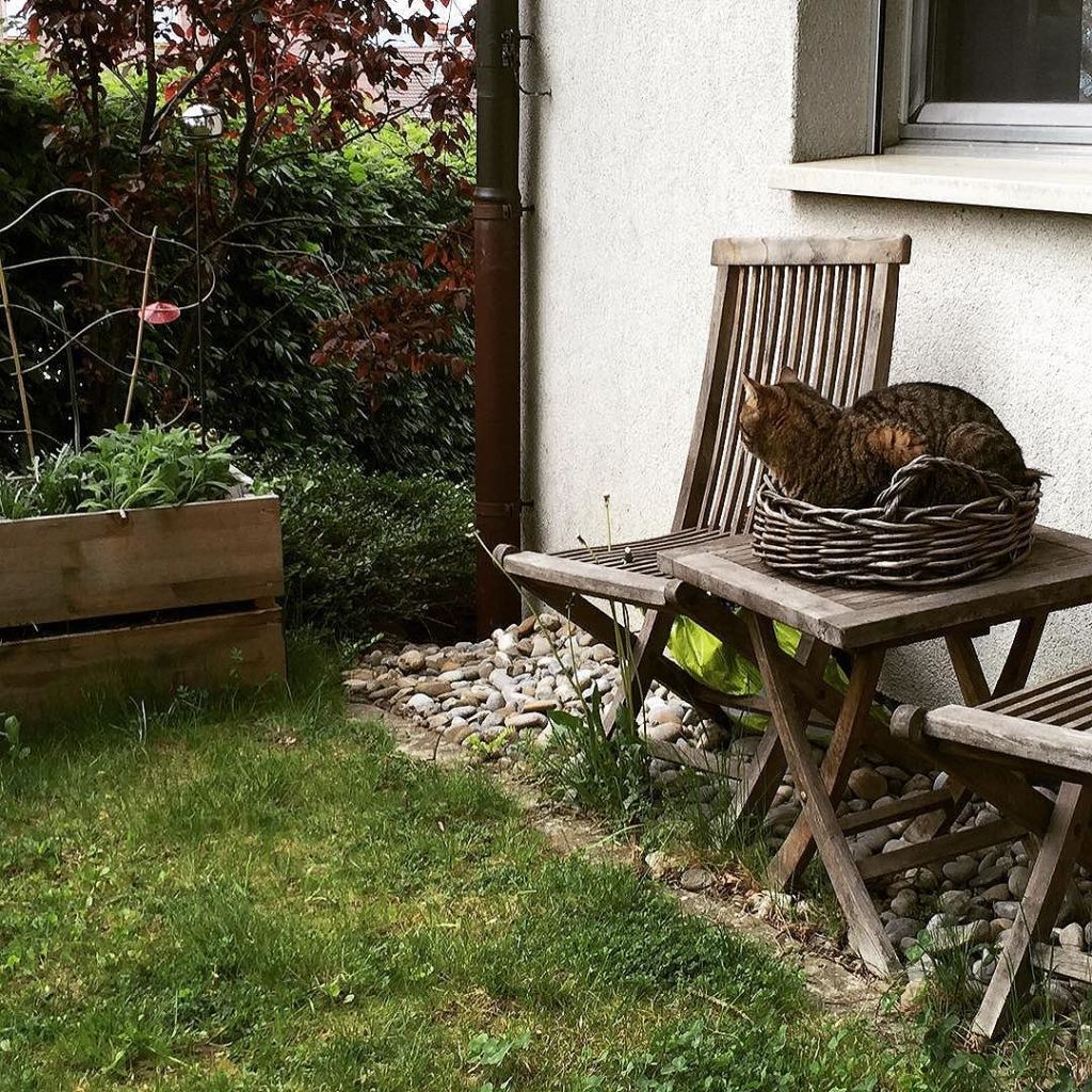 May 13, 2016 @ 08:41