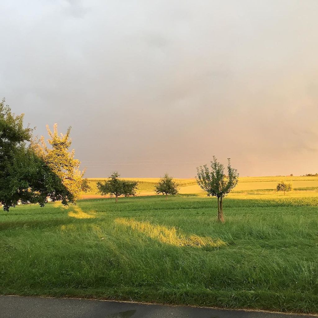 Aug 17, 2016 @ 20:20