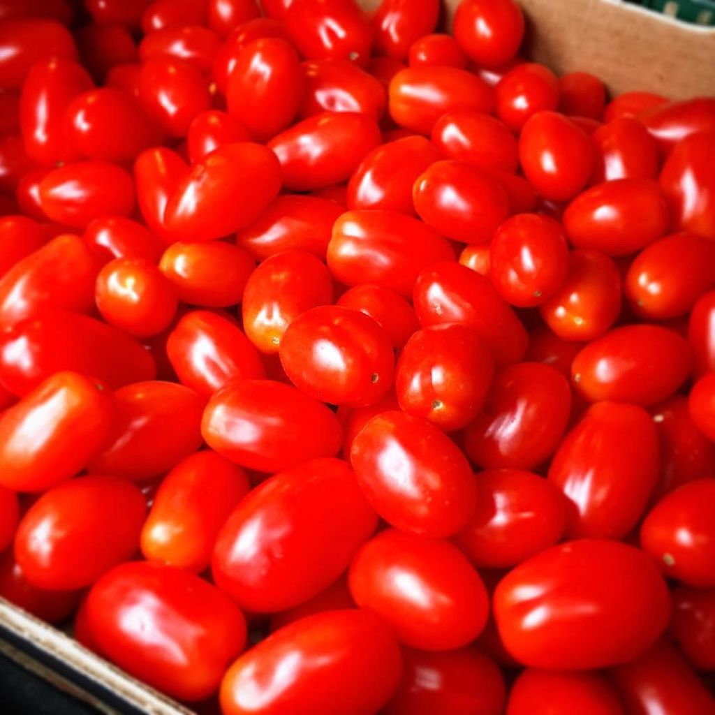 Nov 26, 2016 @ 08:42