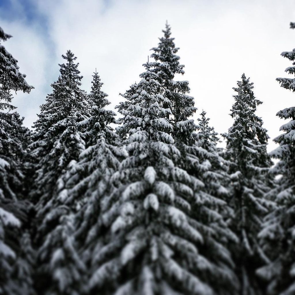 Nov 12, 2016 @ 13:18