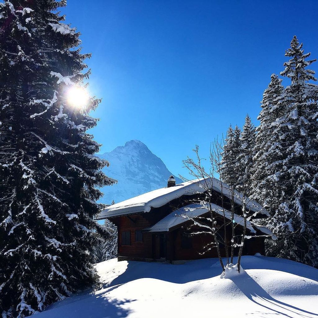 Jan 18, 2017 @ 15:43