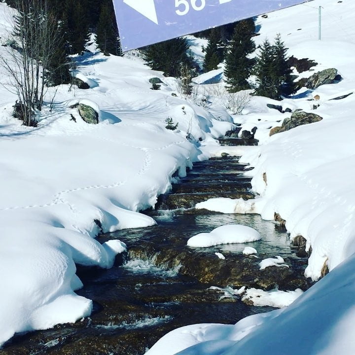 Jan 29, 2017 @ 14:49