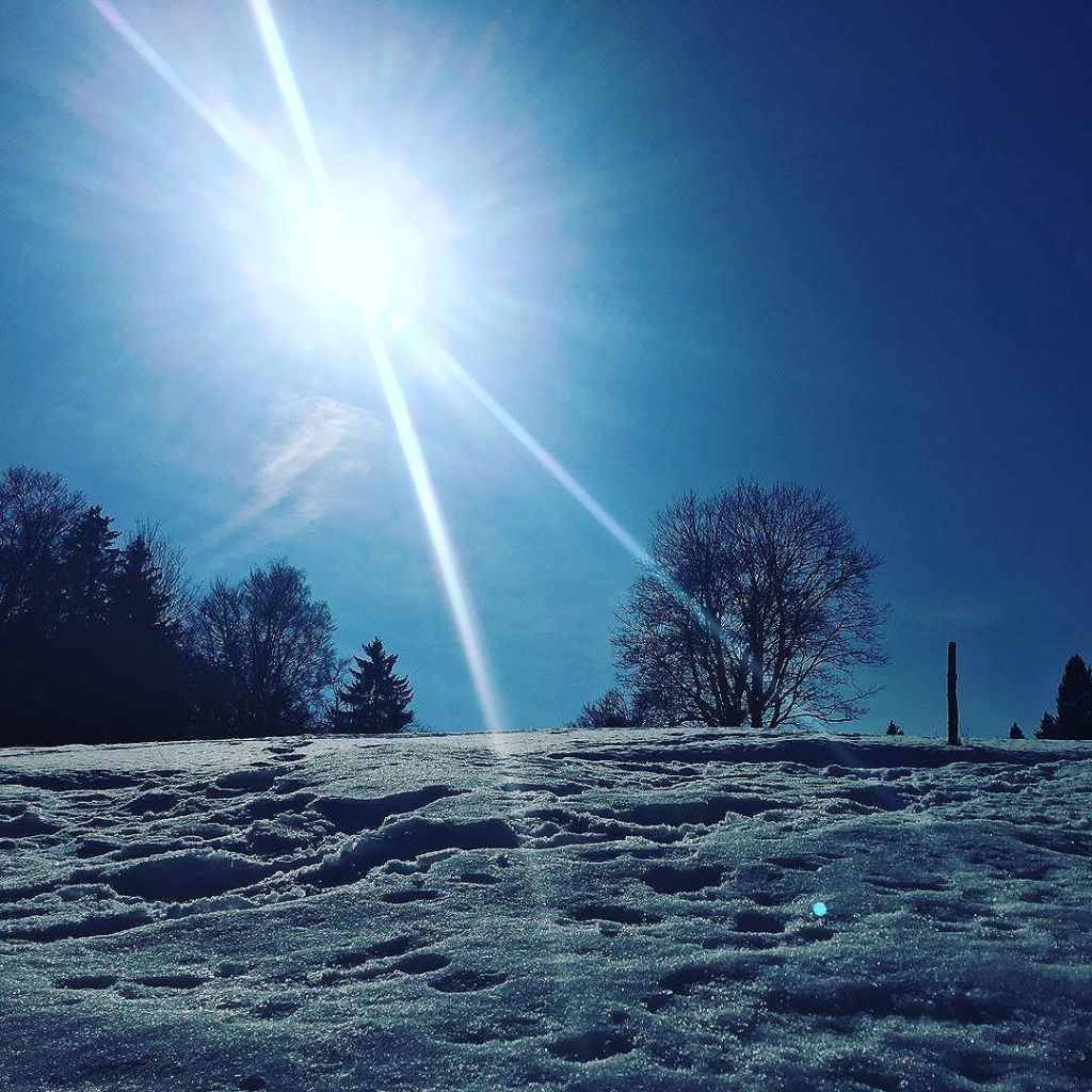 Feb 19, 2017 @ 13:33