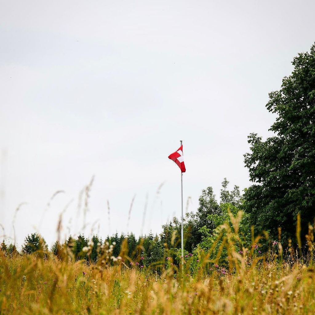 Mar 26, 2017 @ 14:33