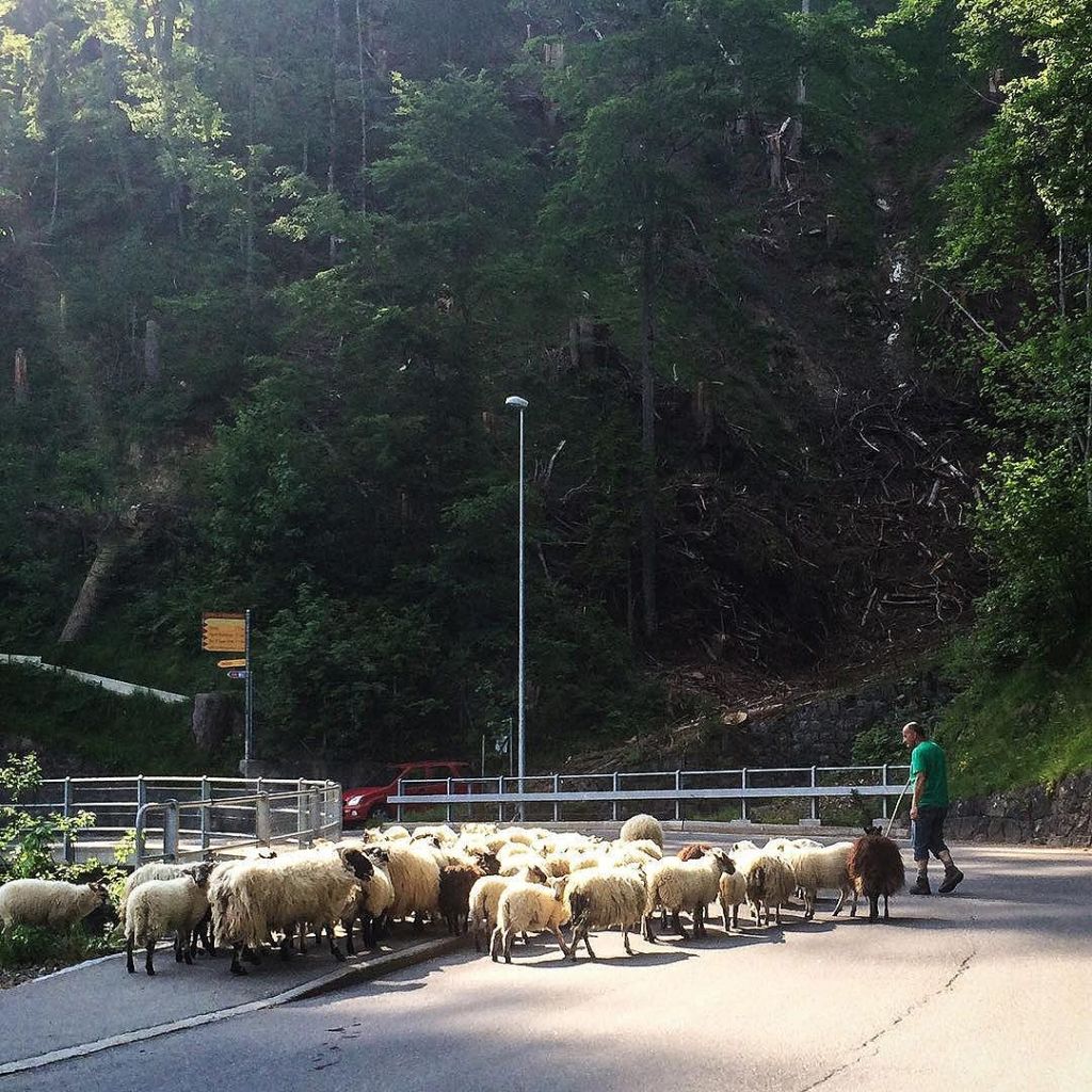 Mar 30, 2017 @ 10:06