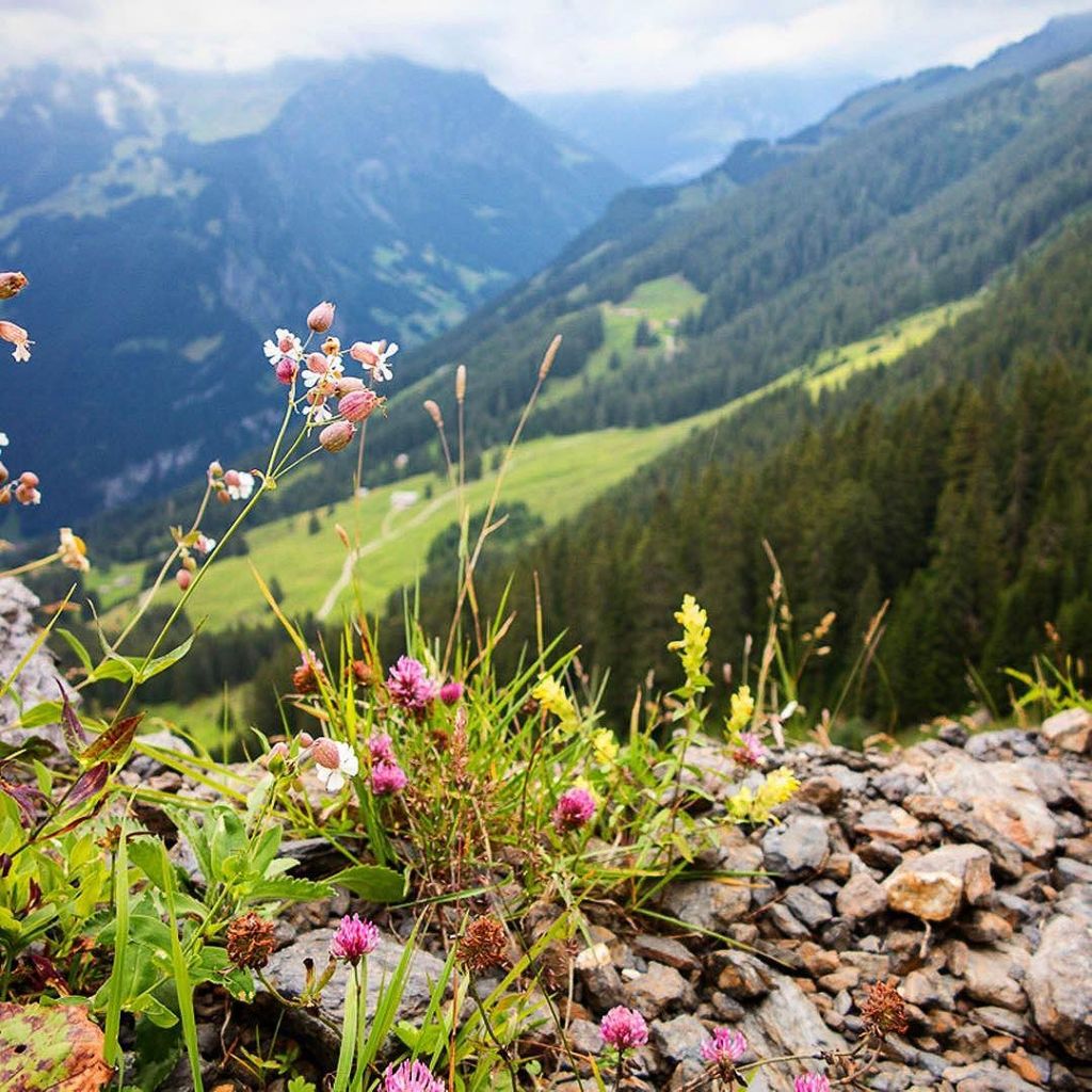 Mar 31, 2017 @ 13:16