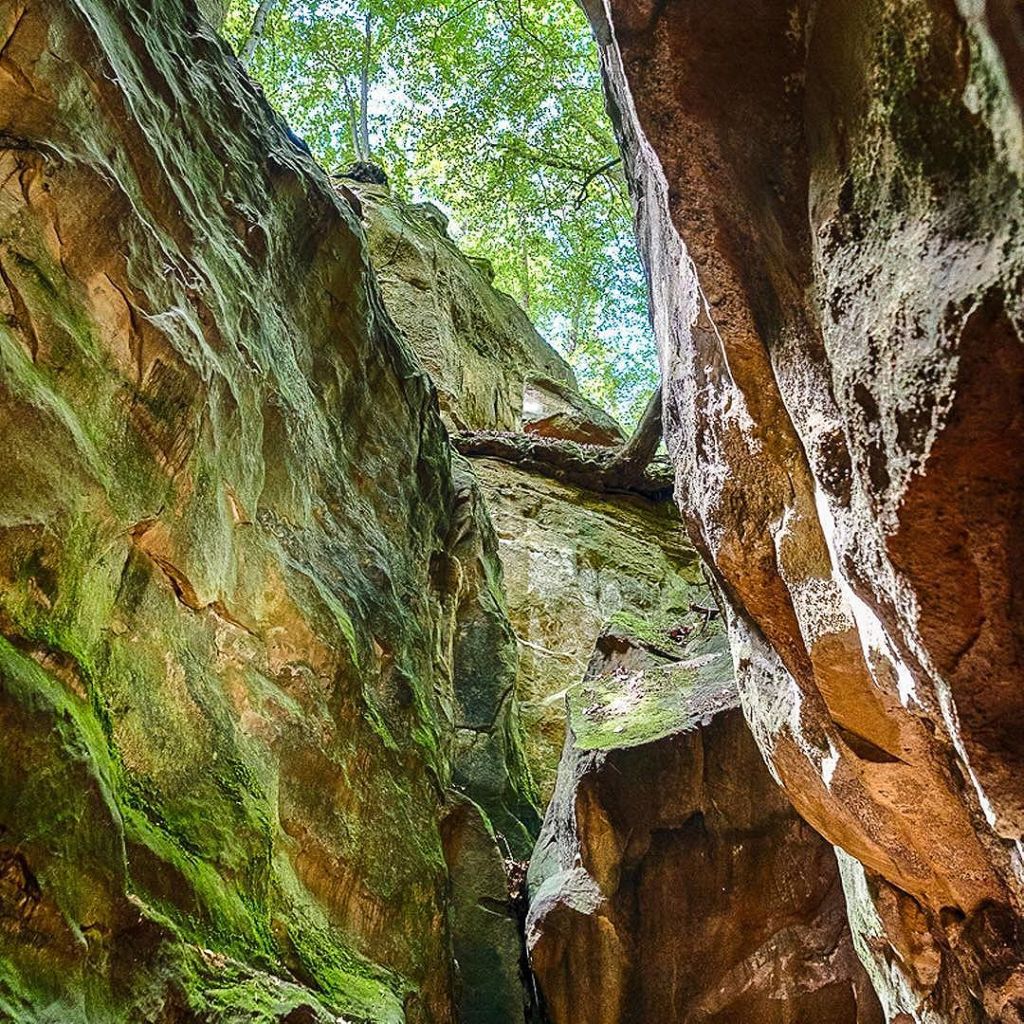 Mar 29, 2017 @ 09:53