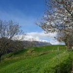 022 – Schweiz – Wanderung entlang der Südrampe im Wallis