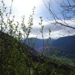 022 – Schweiz – Wanderung entlang der Südrampe im Wallis