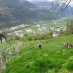 022 – Schweiz – Wanderung entlang der Südrampe im Wallis