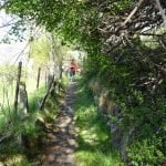 022 – Schweiz – Wanderung entlang der Südrampe im Wallis