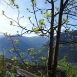 022 – Schweiz – Wanderung entlang der Südrampe im Wallis