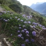 022 – Schweiz – Wanderung entlang der Südrampe im Wallis