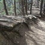 022 – Schweiz – Wanderung entlang der Südrampe im Wallis