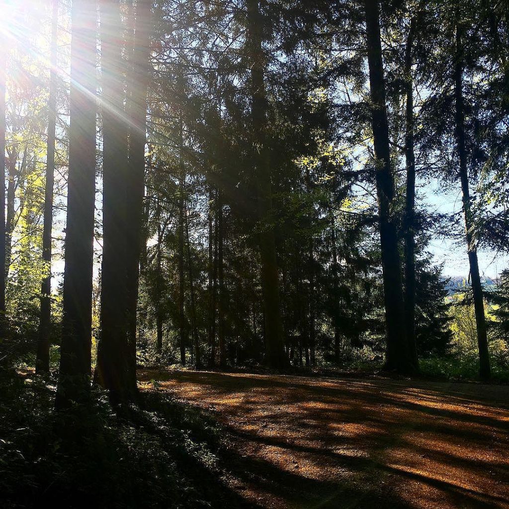 Apr 18, 2017 @ 15:45