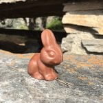 022 – Schweiz – Wanderung entlang der Südrampe im Wallis