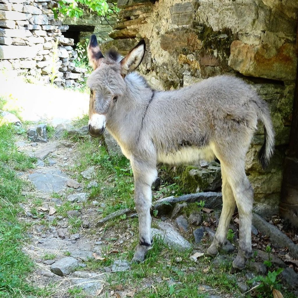 May 29, 2017 @ 20:53