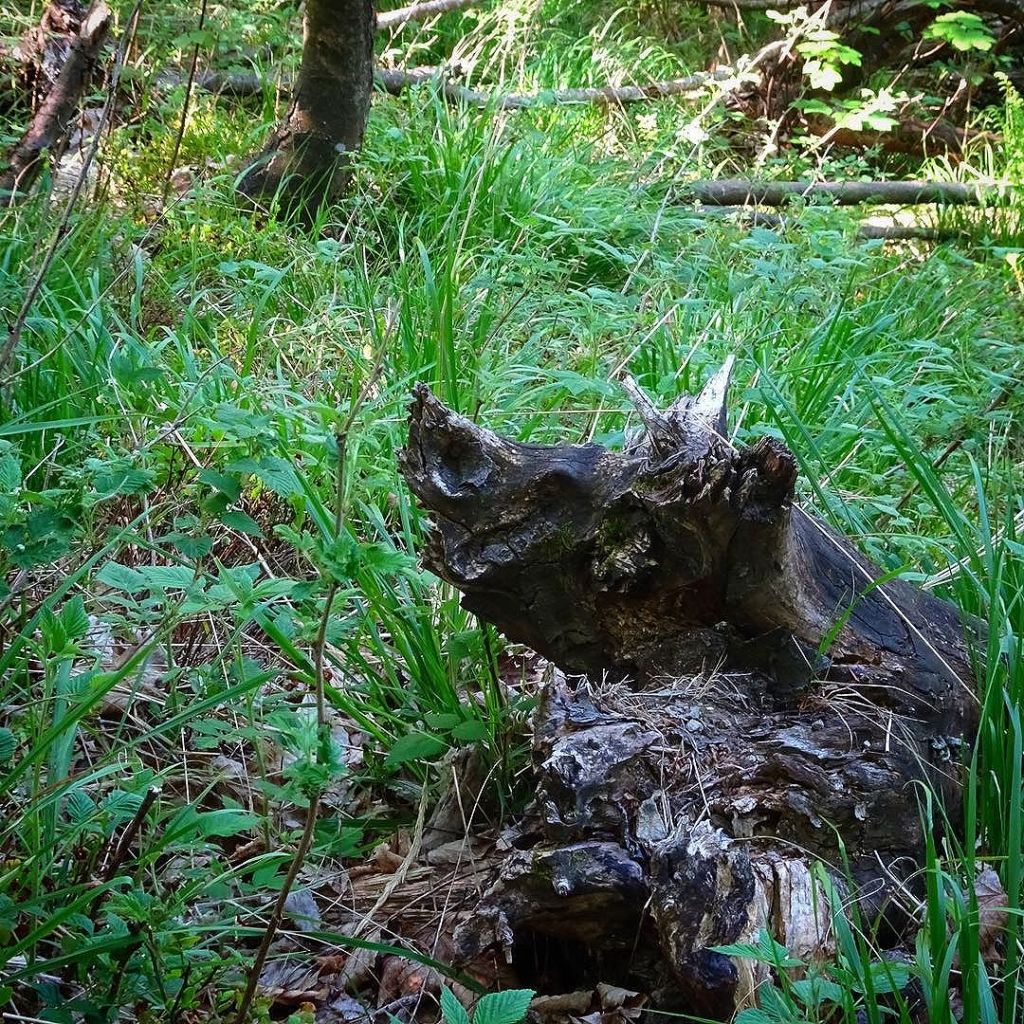 May 31, 2017 @ 21:09