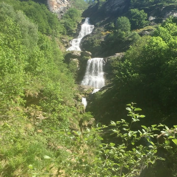 May 31, 2017 @ 12:06