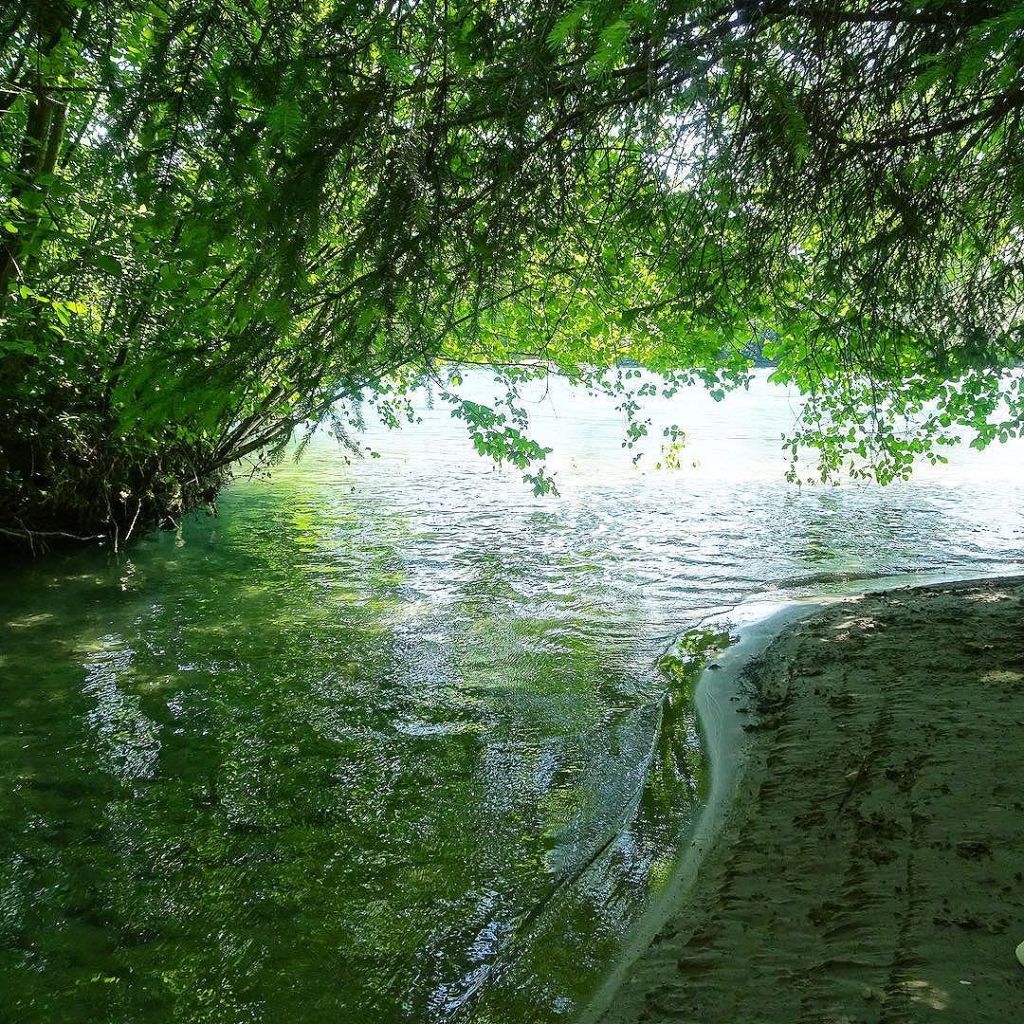 Jun 20, 2017 @ 11:41