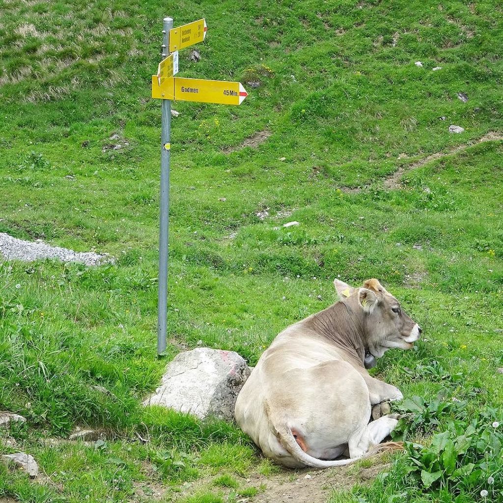 Jun 10, 2017 @ 17:51