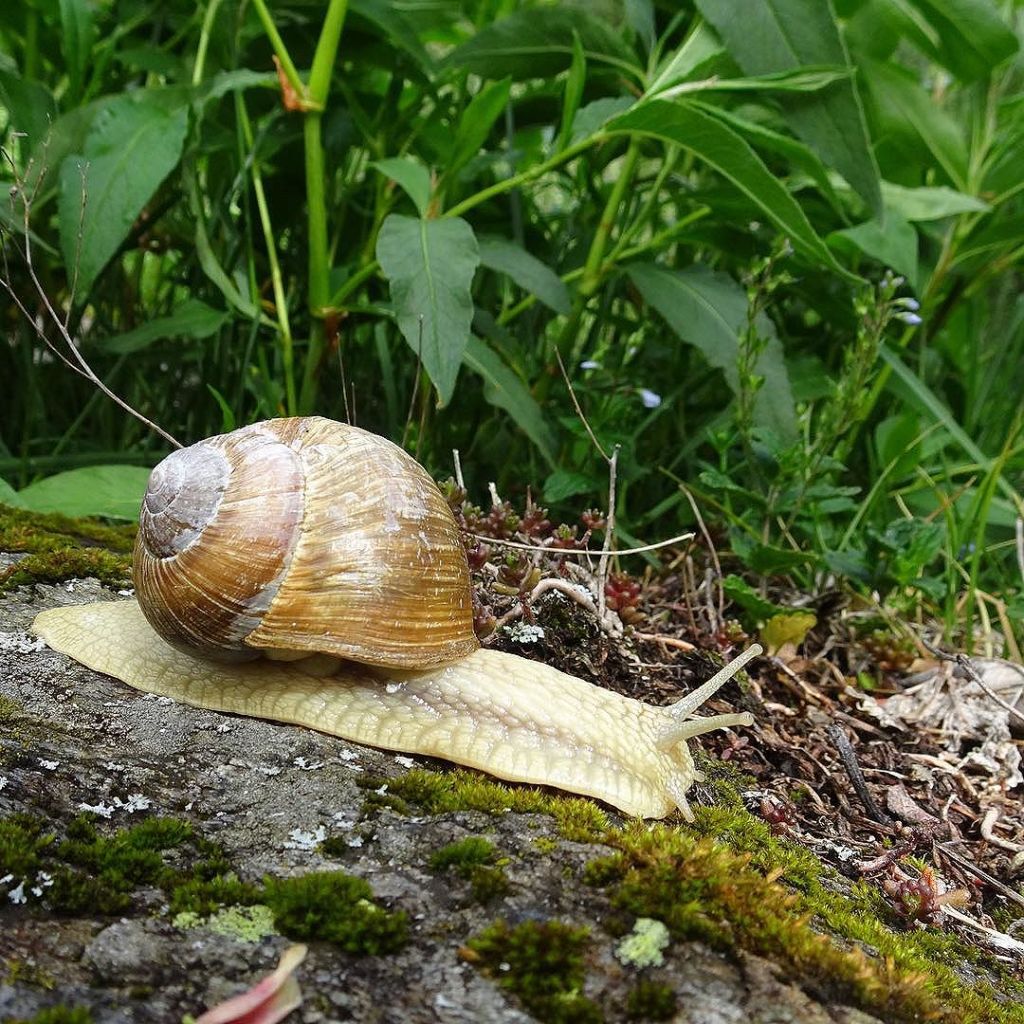 Jun 04, 2017 @ 16:45