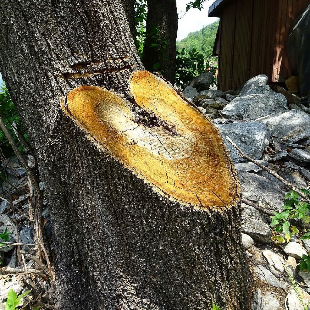 Jun 02, 2017 @ 11:37