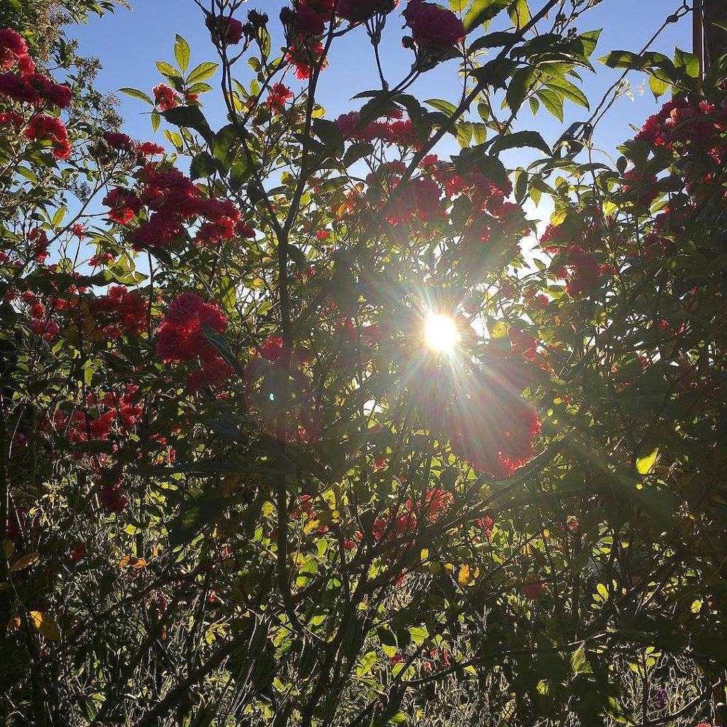 Jun 18, 2017 @ 07:55