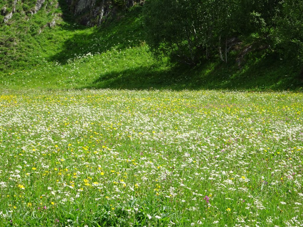 039 – Mein Abenteuer Alpenüberquerung – Tschüss Wallis und immer der Rhône (oder dem Rotten) entlang zur Quelle