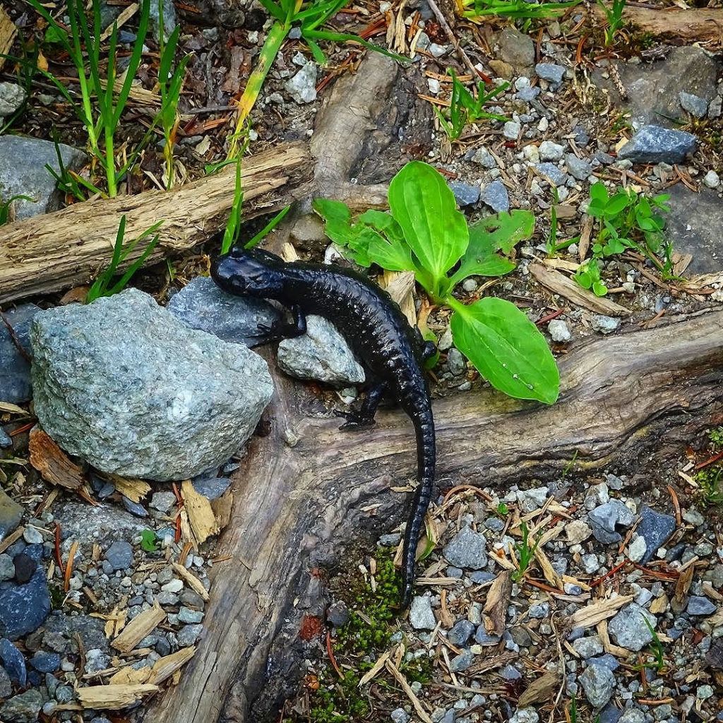 Jun 13, 2017 @ 20:47