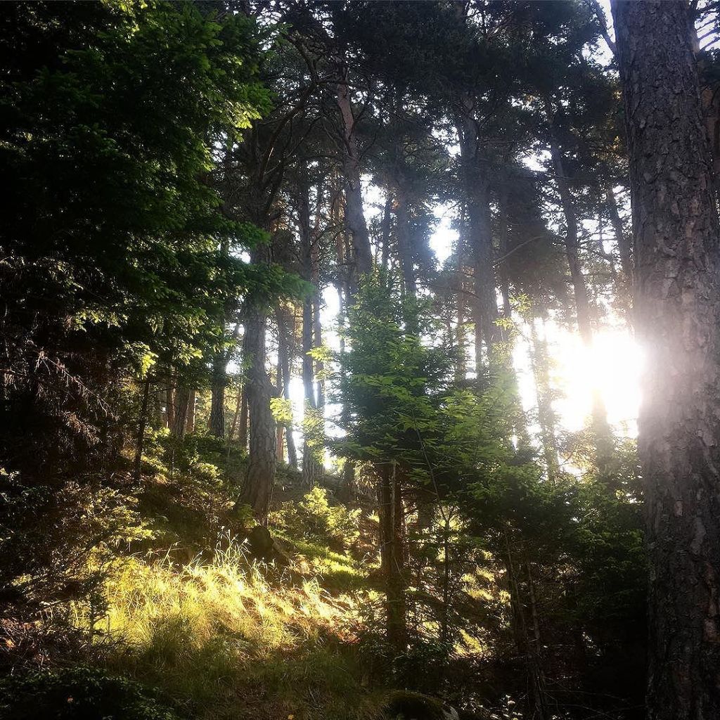 Jun 02, 2017 @ 08:59