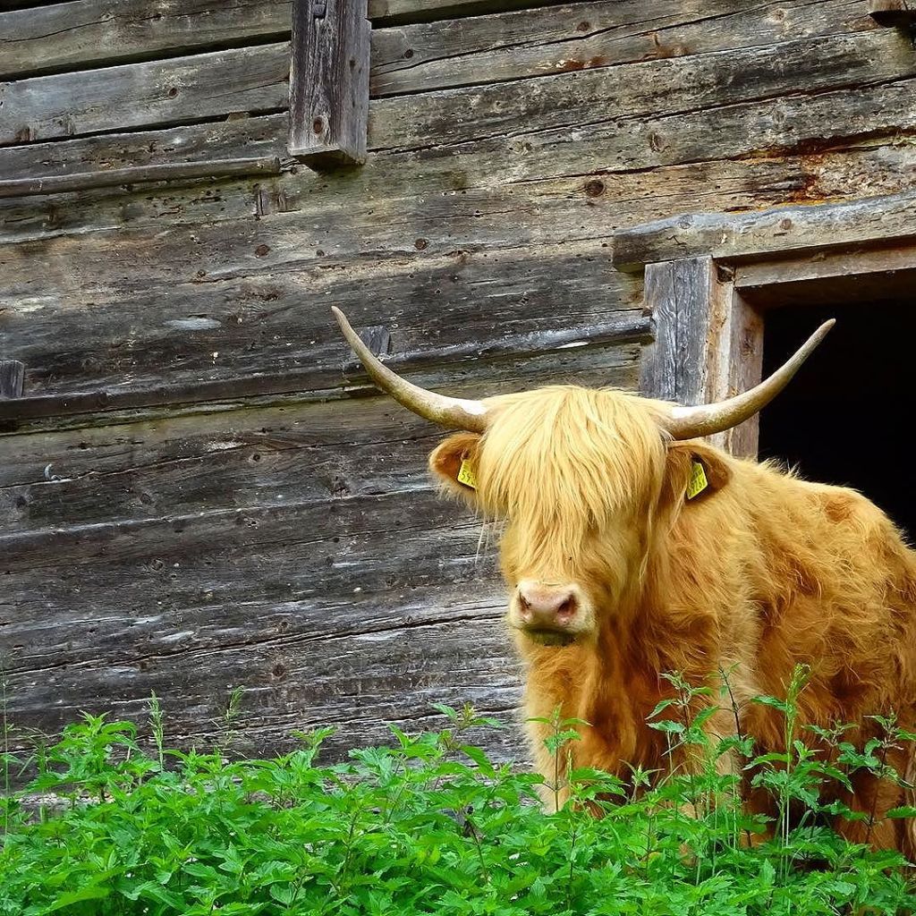 Jun 14, 2017 @ 06:35