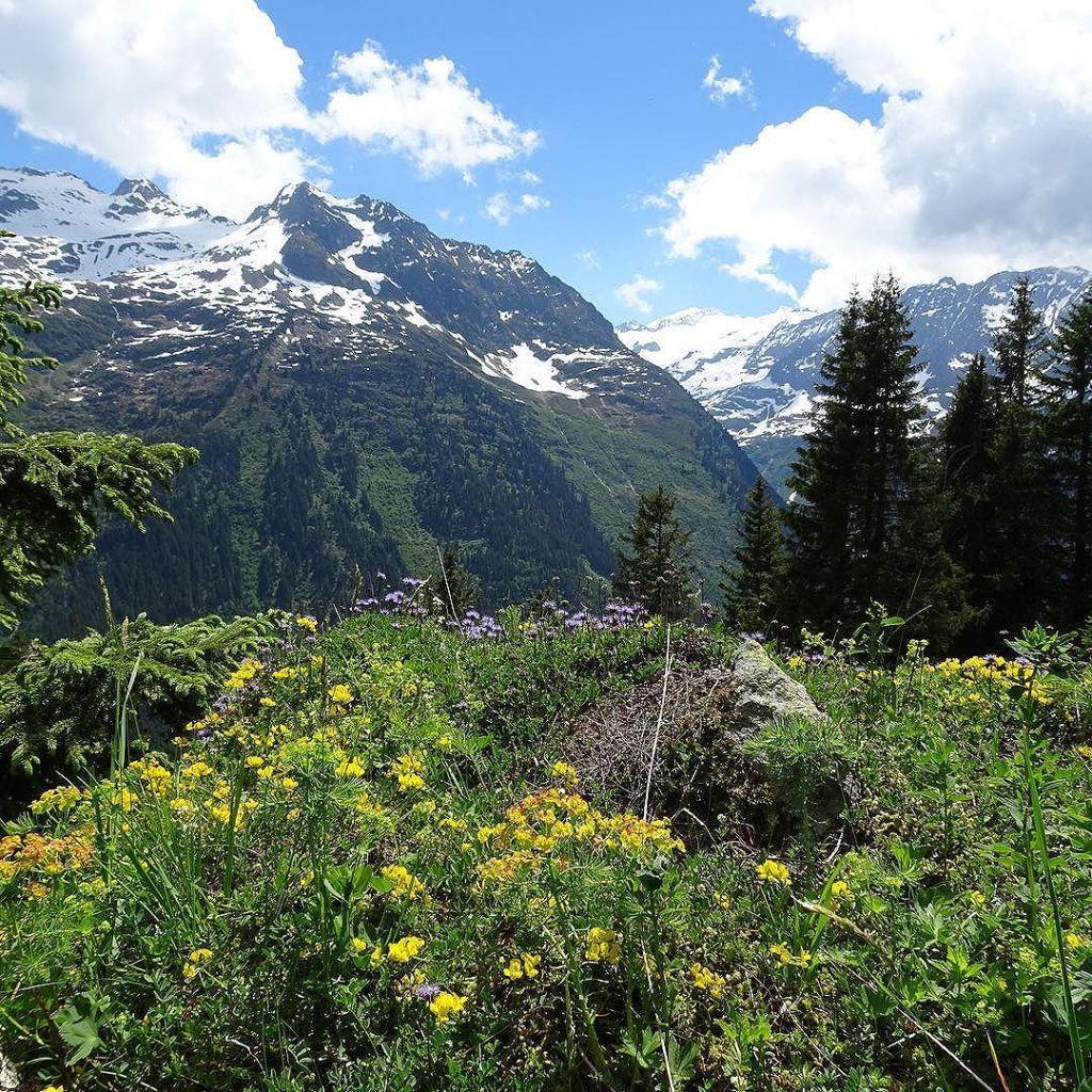 Jun 10, 2017 @ 17:40