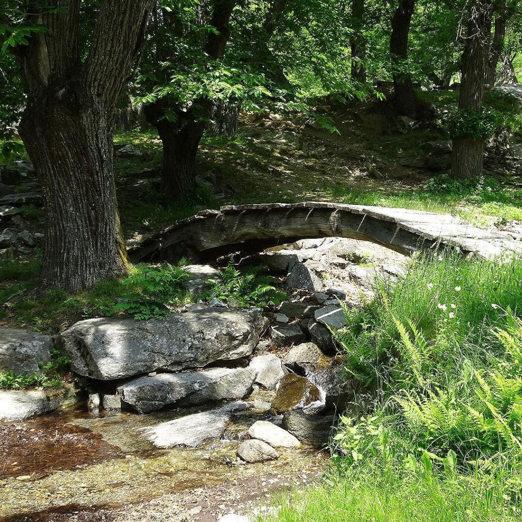 Jun 01, 2017 @ 20:50