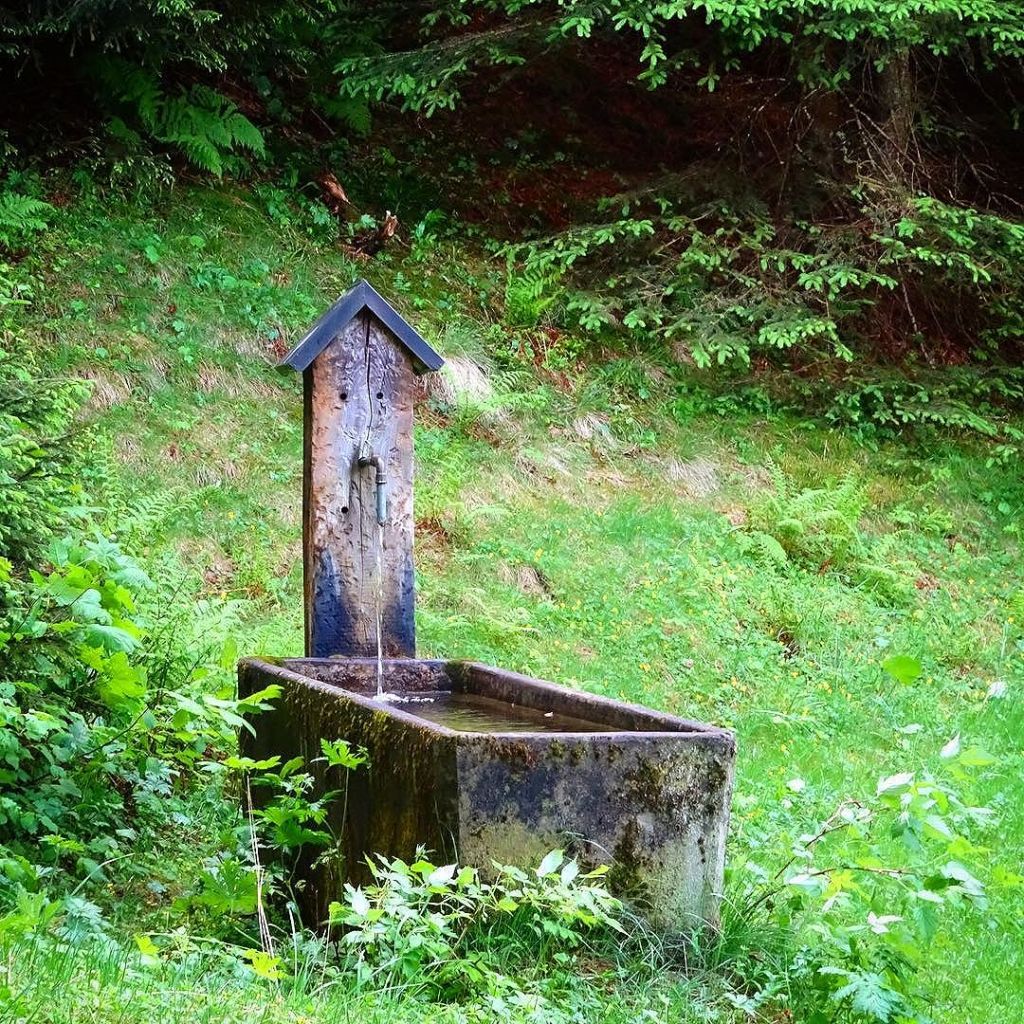 Jun 04, 2017 @ 16:13