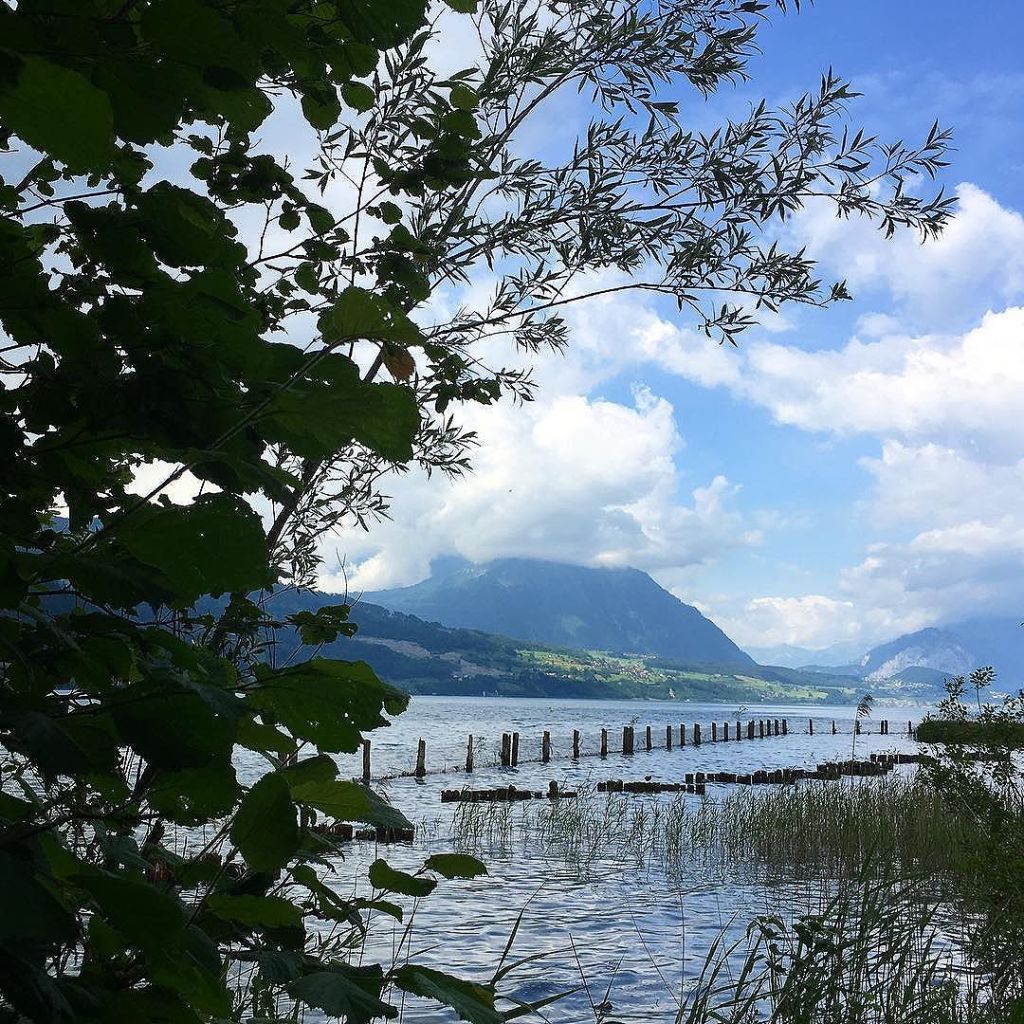 Jun 16, 2017 @ 10:20