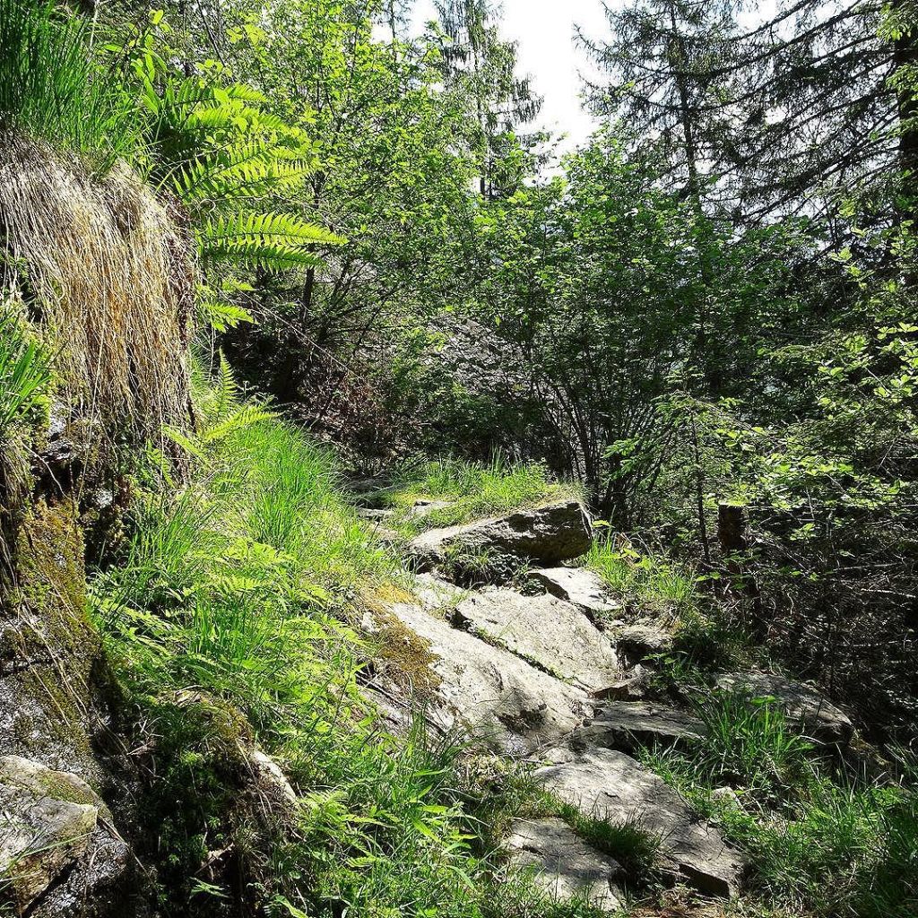 Jun 02, 2017 @ 21:20