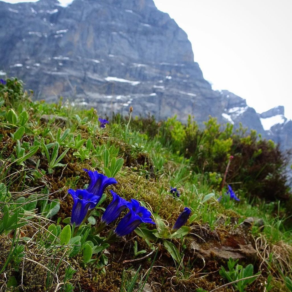 Jun 13, 2017 @ 20:52