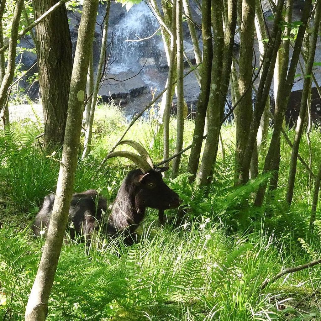 Jun 01, 2017 @ 07:05