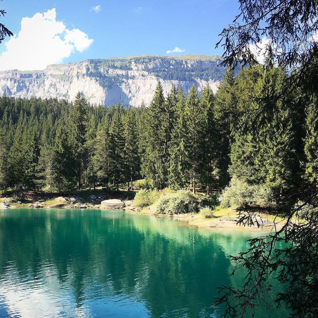 Jul 29, 2017 @ 18:17