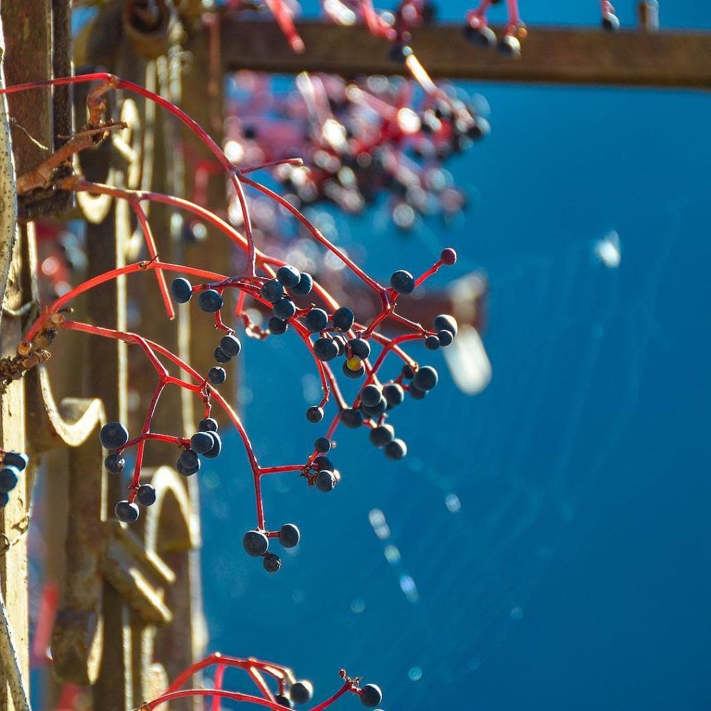 Oct 17, 2017 @ 06:29