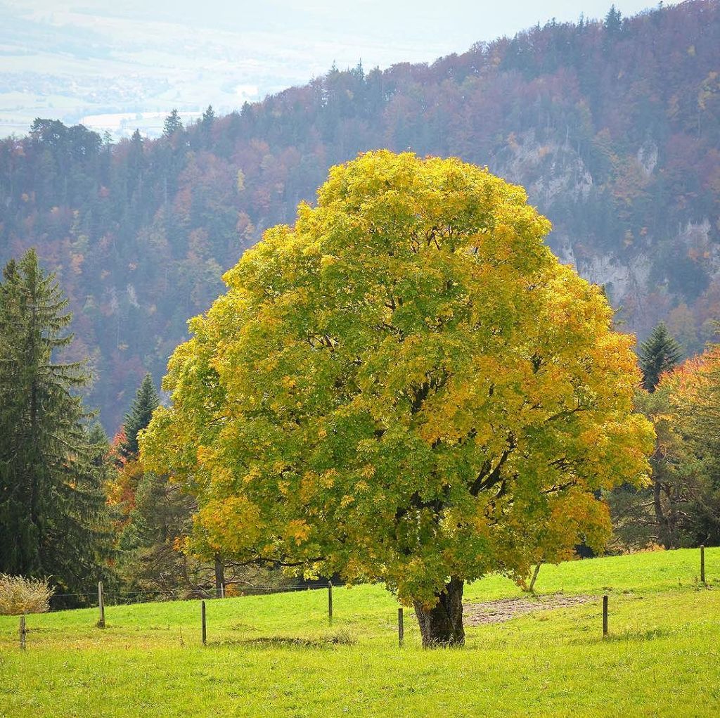 Oct 02, 2017 @ 21:44