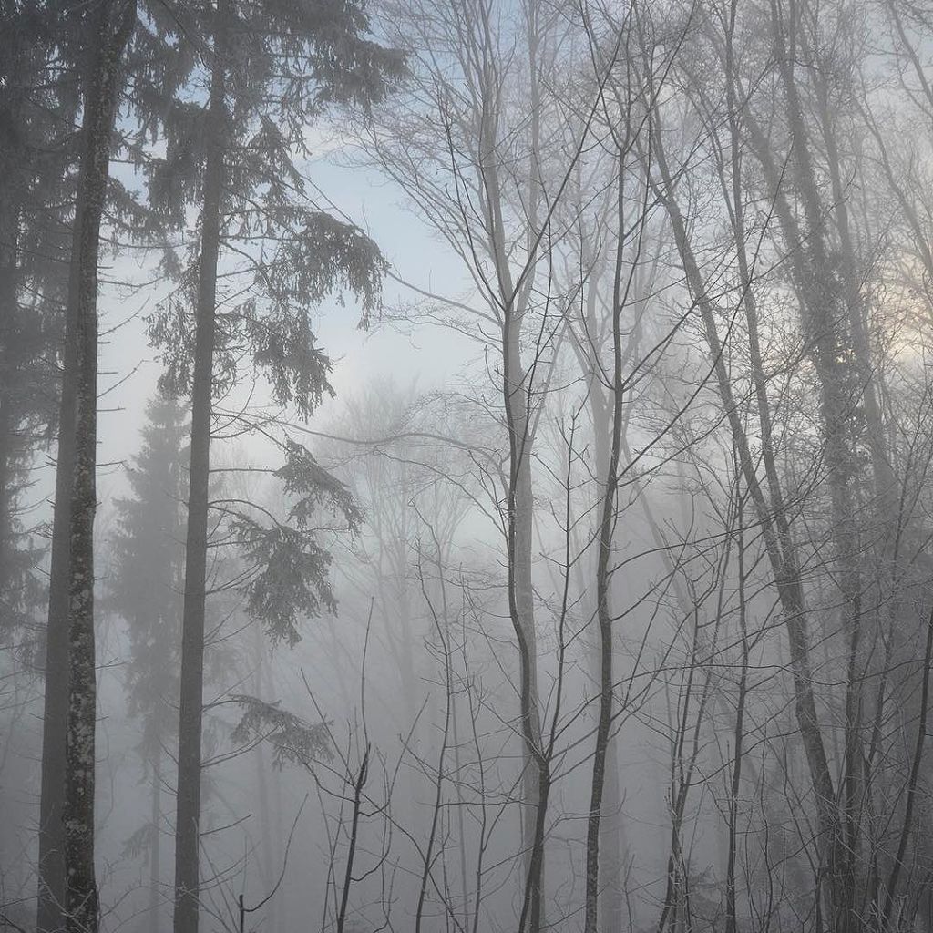 Dec 26, 2017 @ 11:52