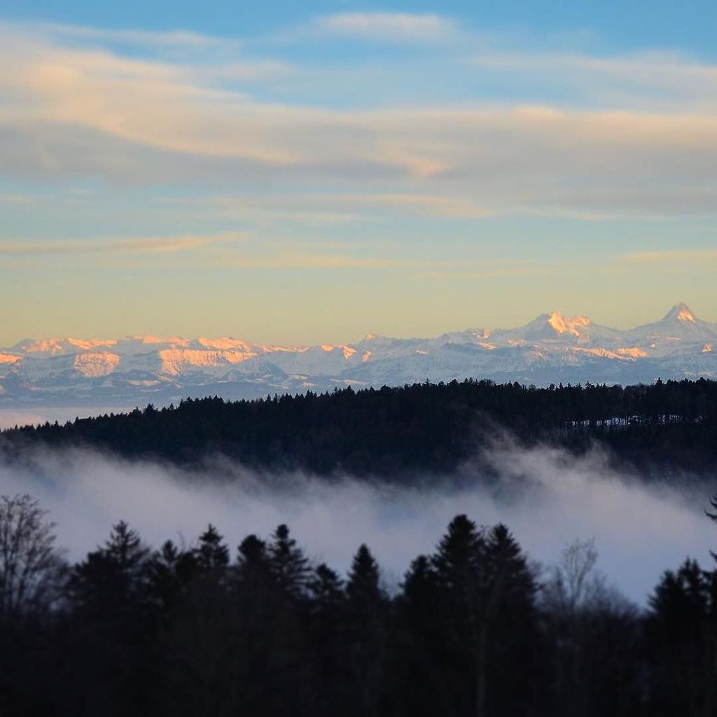 Dec 26, 2017 @ 11:58