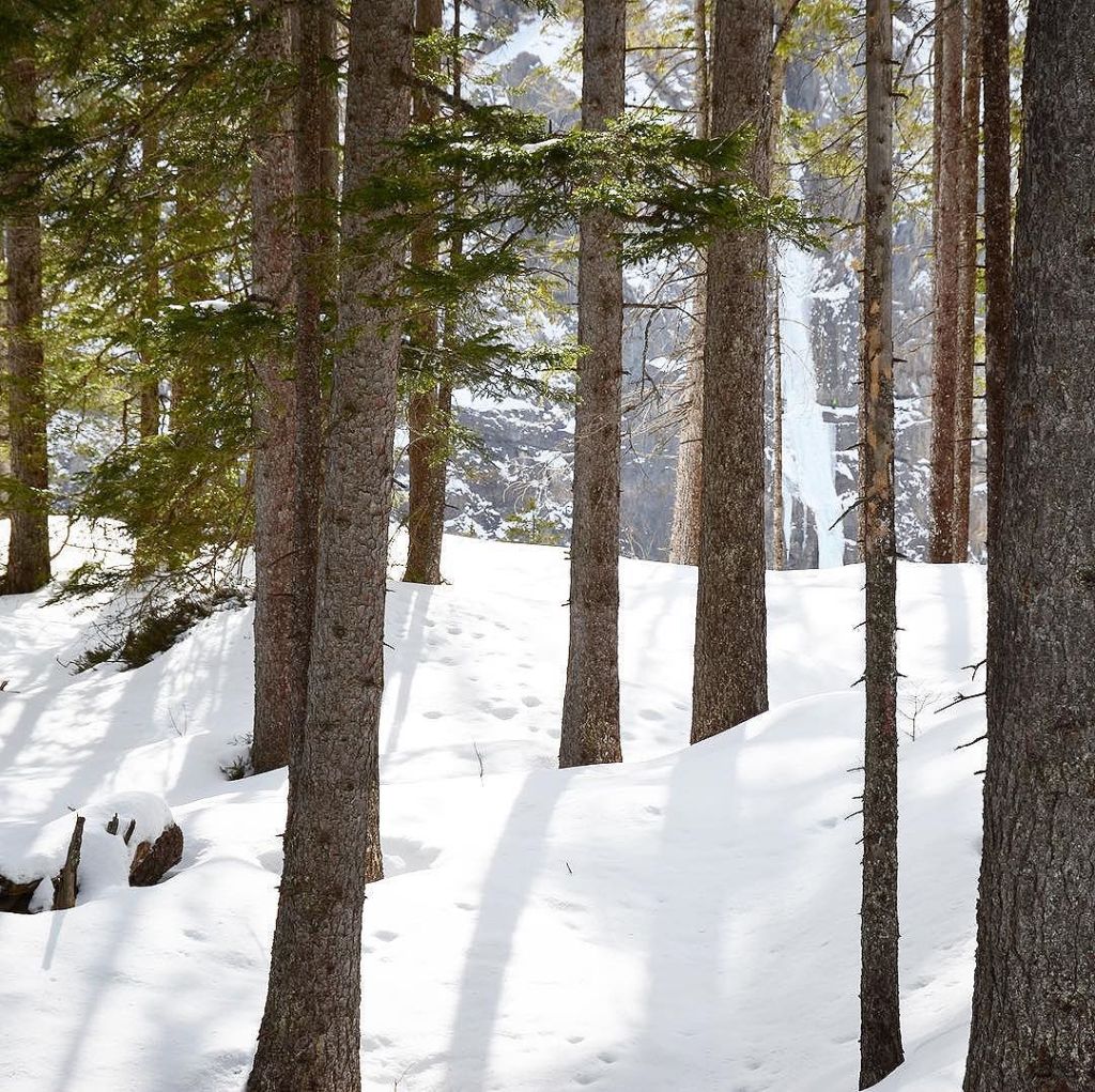 Mar 07, 2018 @ 07:22