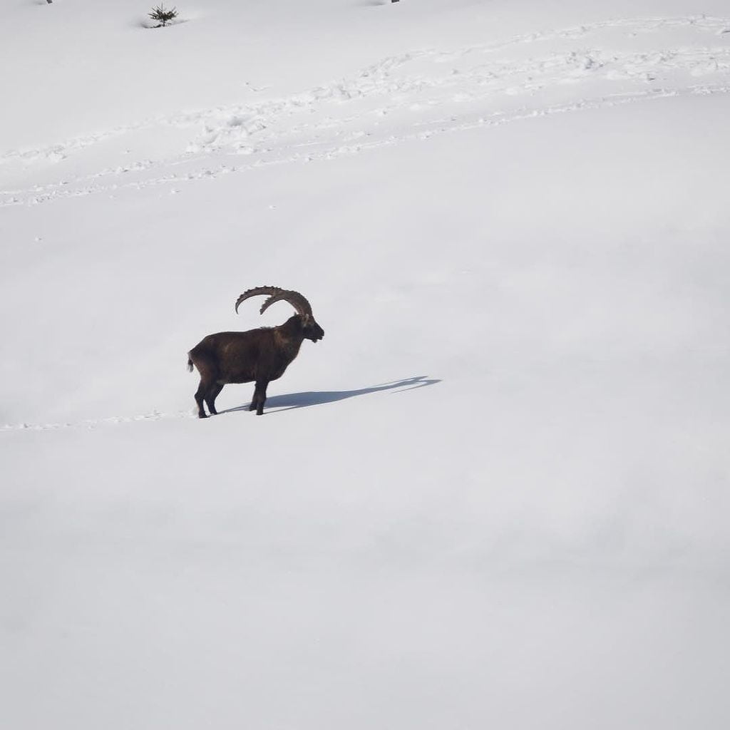 Mar 04, 2018 @ 15:32